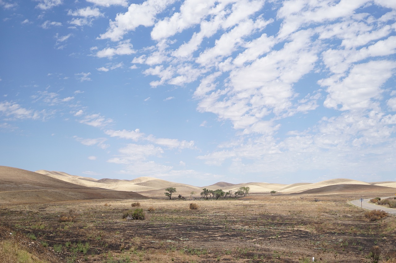 How Droughts Impact Global Crop Production